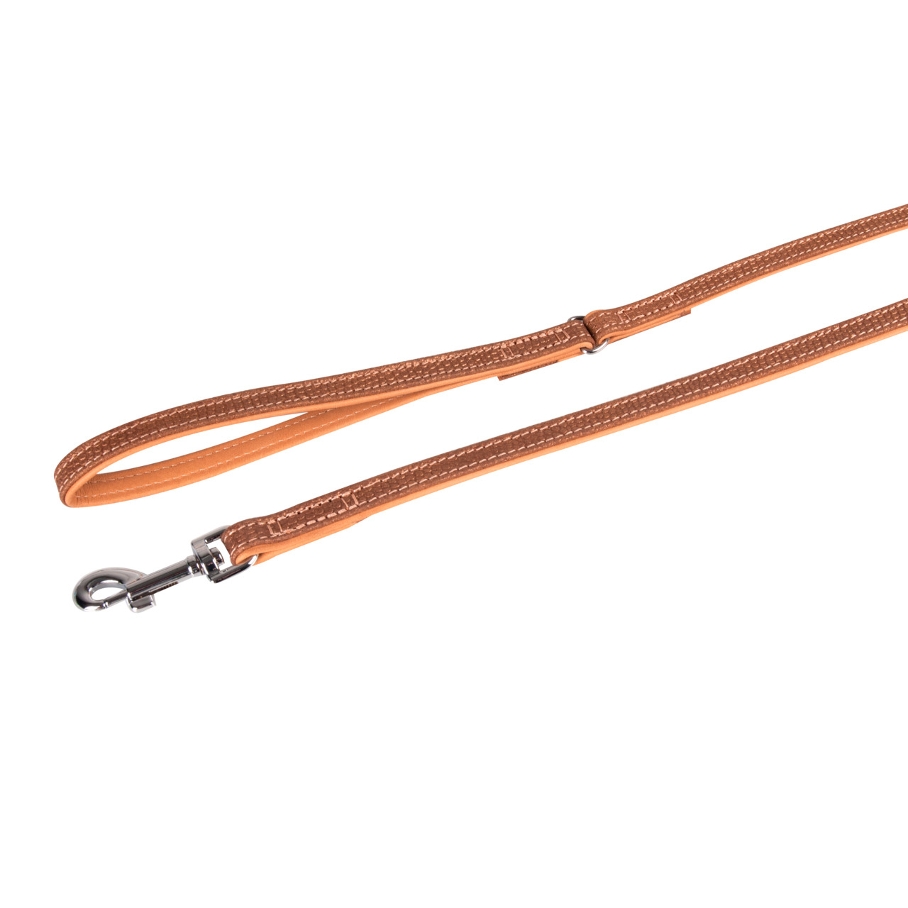 Lederleine Aurum für Hunde Bild 1