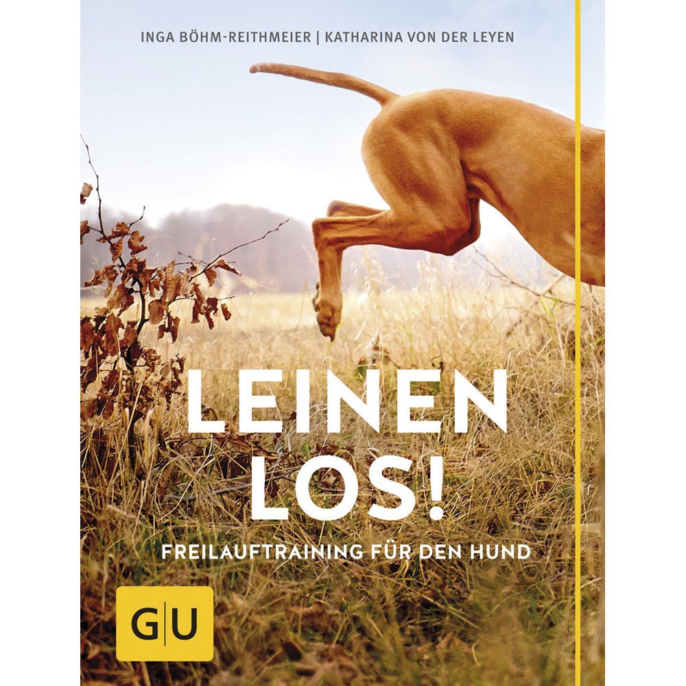 Leinen Los Freilauftraining für Hunde Bild 1