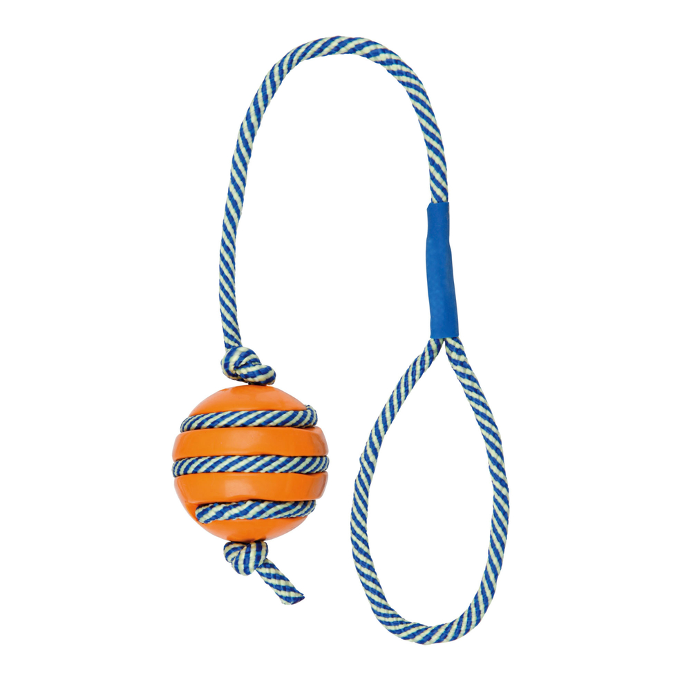 Leuchtender Hundeball am Tau Bild 2