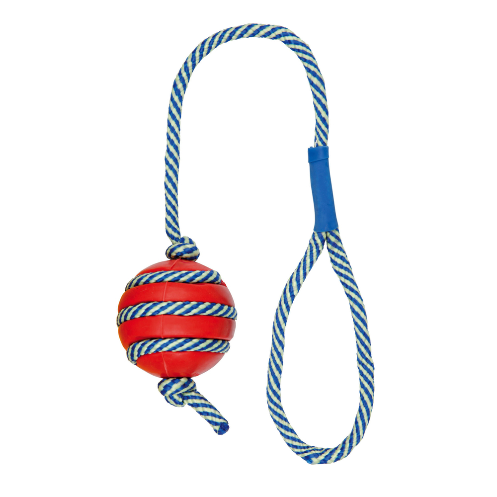 Leuchtender Hundeball am Tau Bild 3