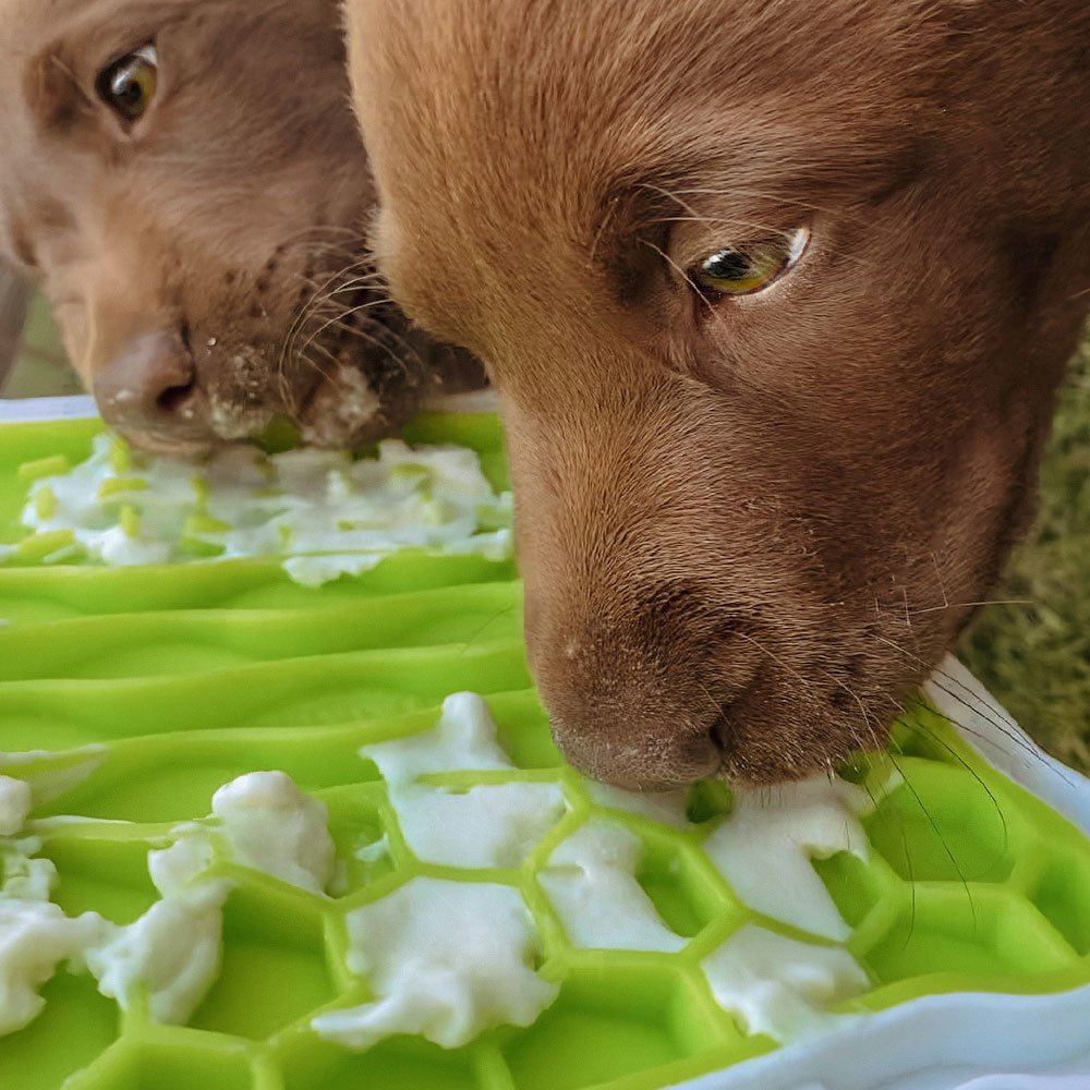 Lick’n'Snack Schleckplatte für Hunde Bild 3