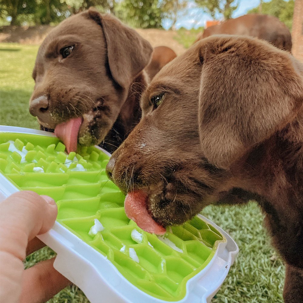 Lick’n'Snack Schleckplatte für Hunde Bild 2