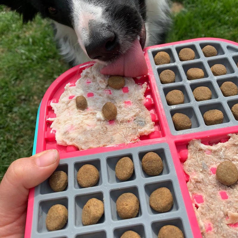 Slomo Kombi-Schleckmatte für Hunde Bild 4