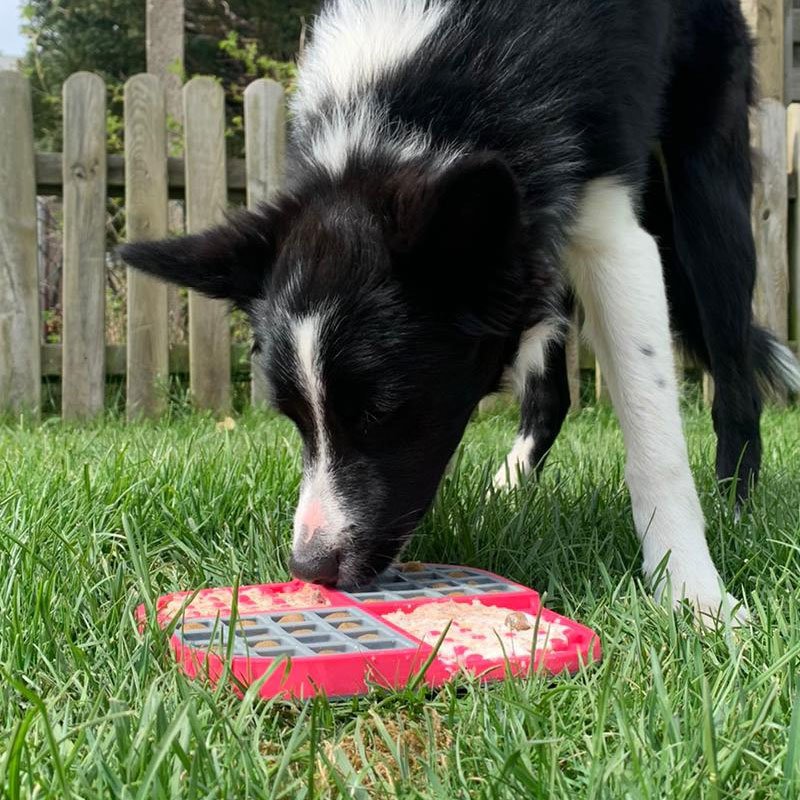 Slomo Kombi-Schleckmatte für Hunde Bild 3