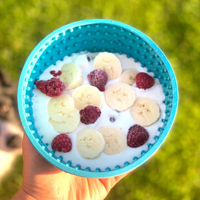 Wobble Schlecknapf für Hunde Bild 6