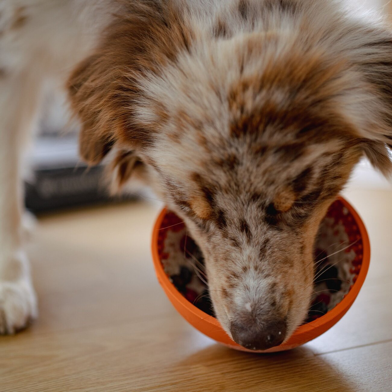 Wobble Schlecknapf für Hunde Bild 2