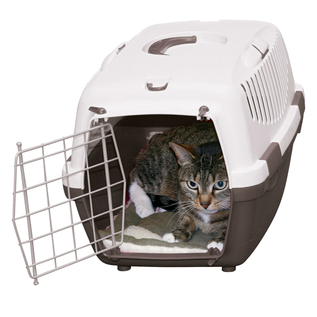 Liegekissen Einlage Cleo Bild 5