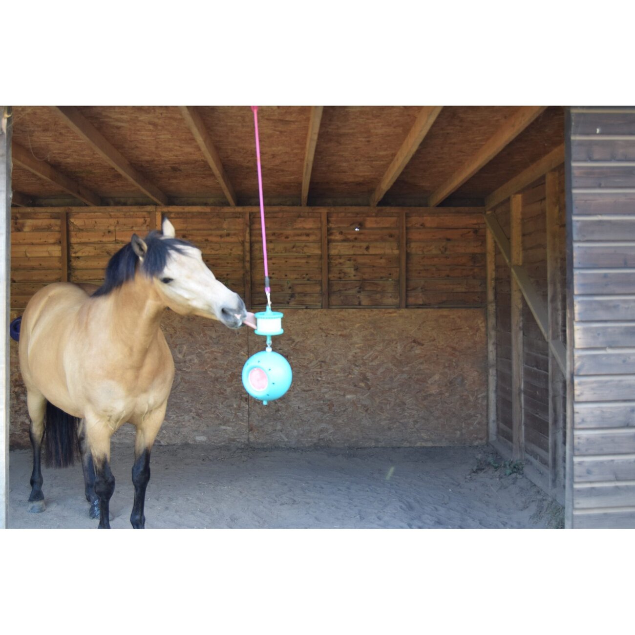 Likit Himalaya-Salzleckstein Für Pferde - 100% Natürliche Mineralien Mit Aufhängeseil