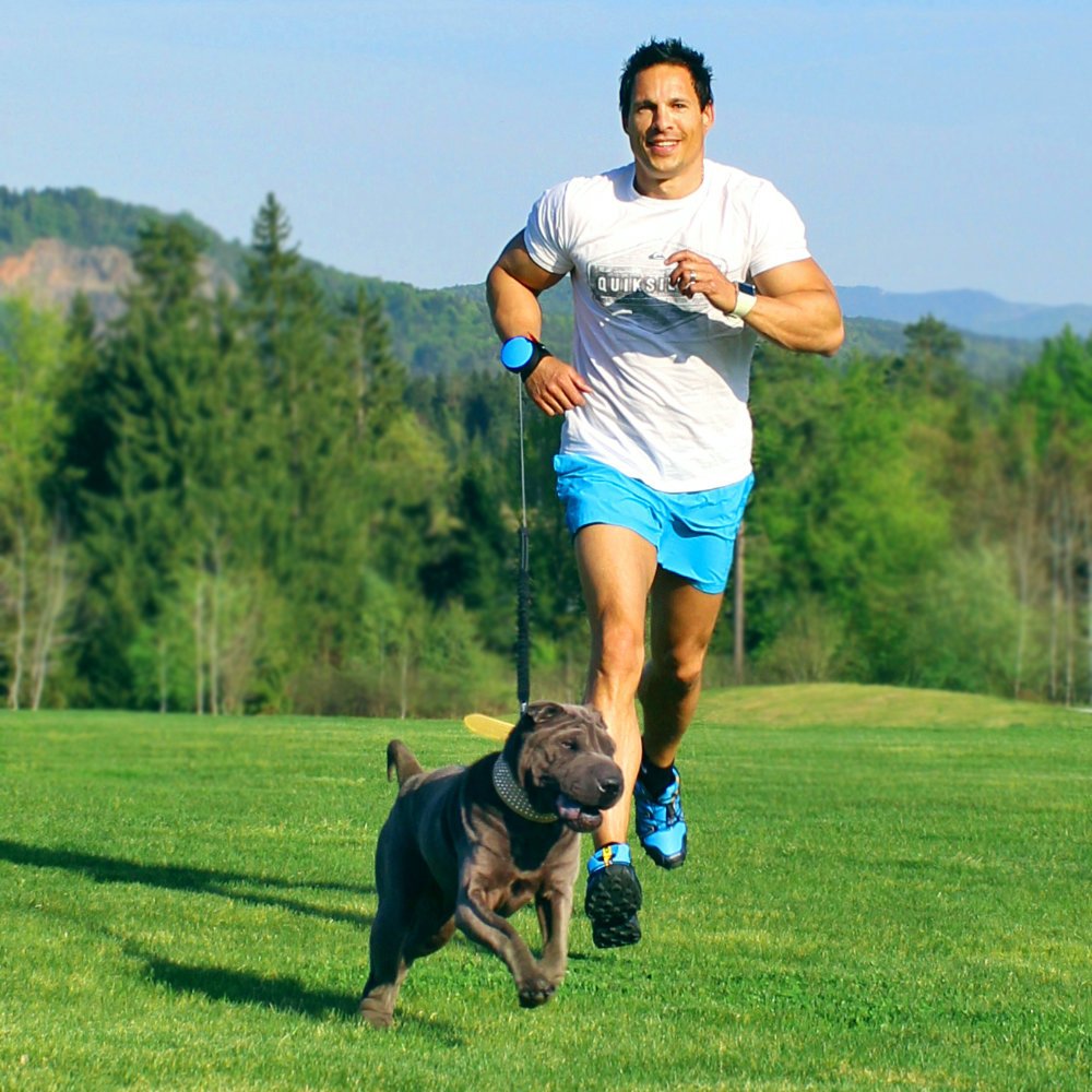 Lishinu 3 Bungee Hundeleine mit Ruckdämpfer Bild 2