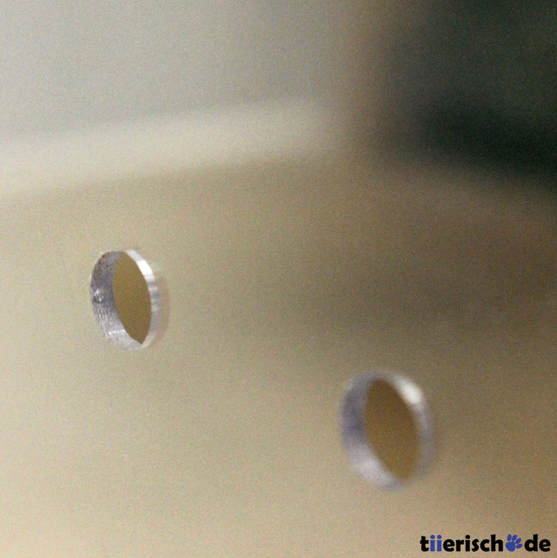 Living World Green Eco Habitat für Kleintiere Bild 5