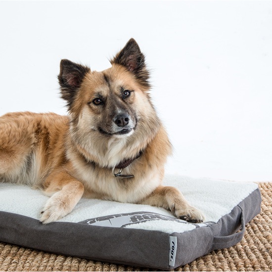 Rogz Lounge Pod Flat Hundematte Bild 2