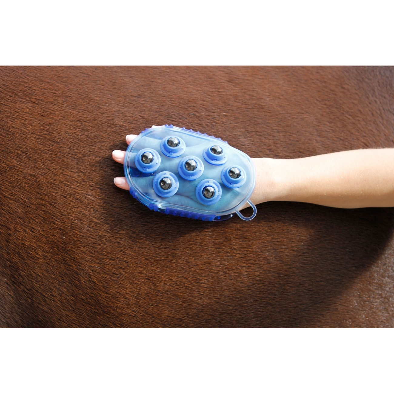 Kerbl Magnet Massage Striegel für Pferde Bild 8