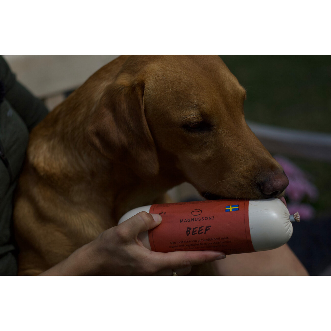 Hunde Nassfutter Beef Bild 2