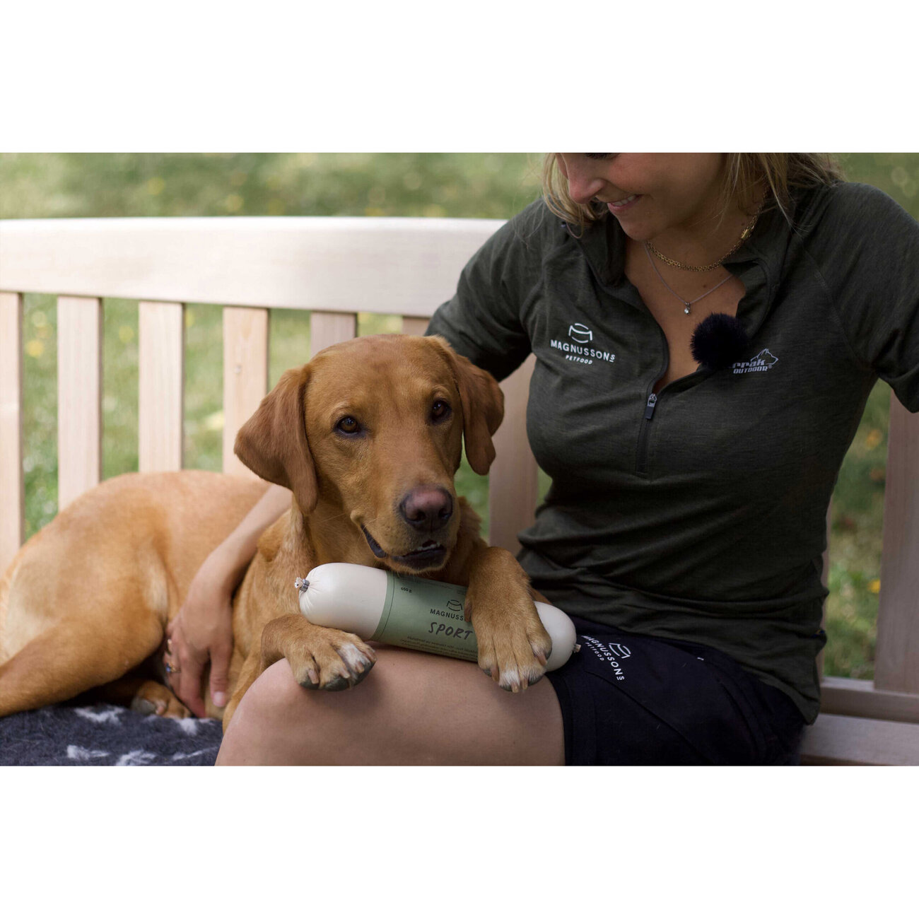 Nassfutter für Hunde Sport Bild 2