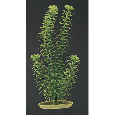 Marina Aquascaper Pflanzen bis 20 cm Bild 3