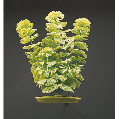 Marina Aquascaper Pflanzen bis 20 cm Bild 5