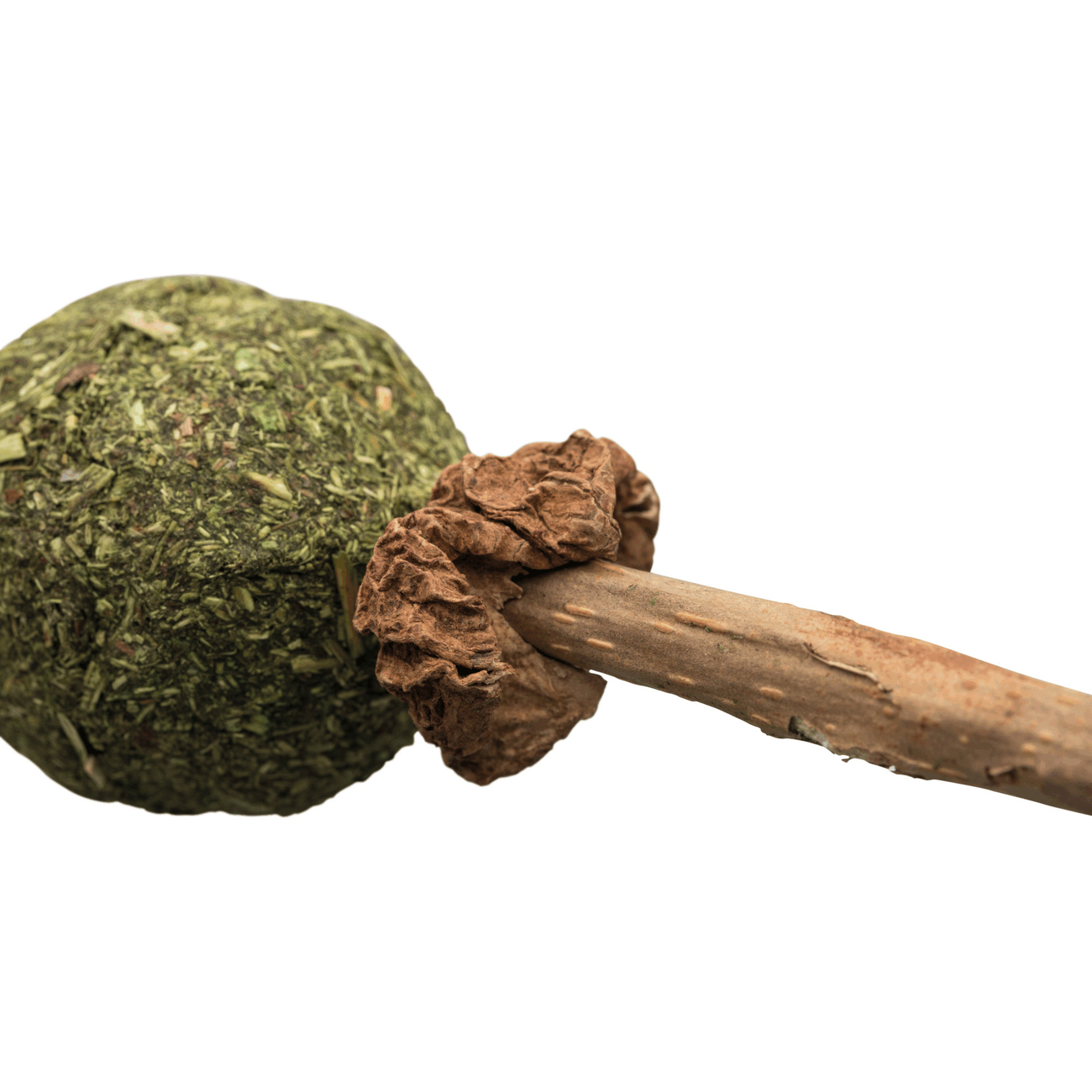 Matatabi Lolli mit Catnip Bild 3