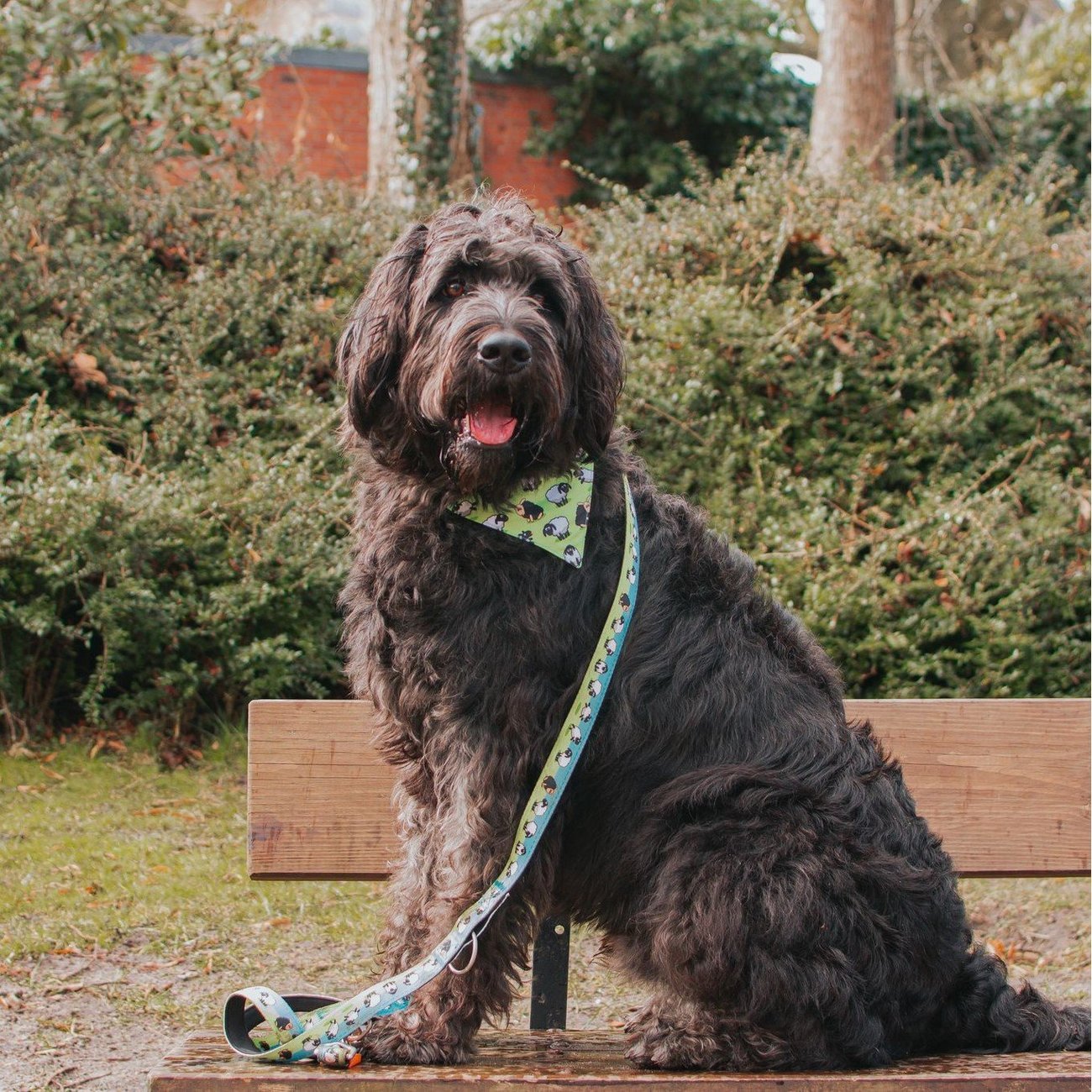 Bandana Black Sheep Bild 5