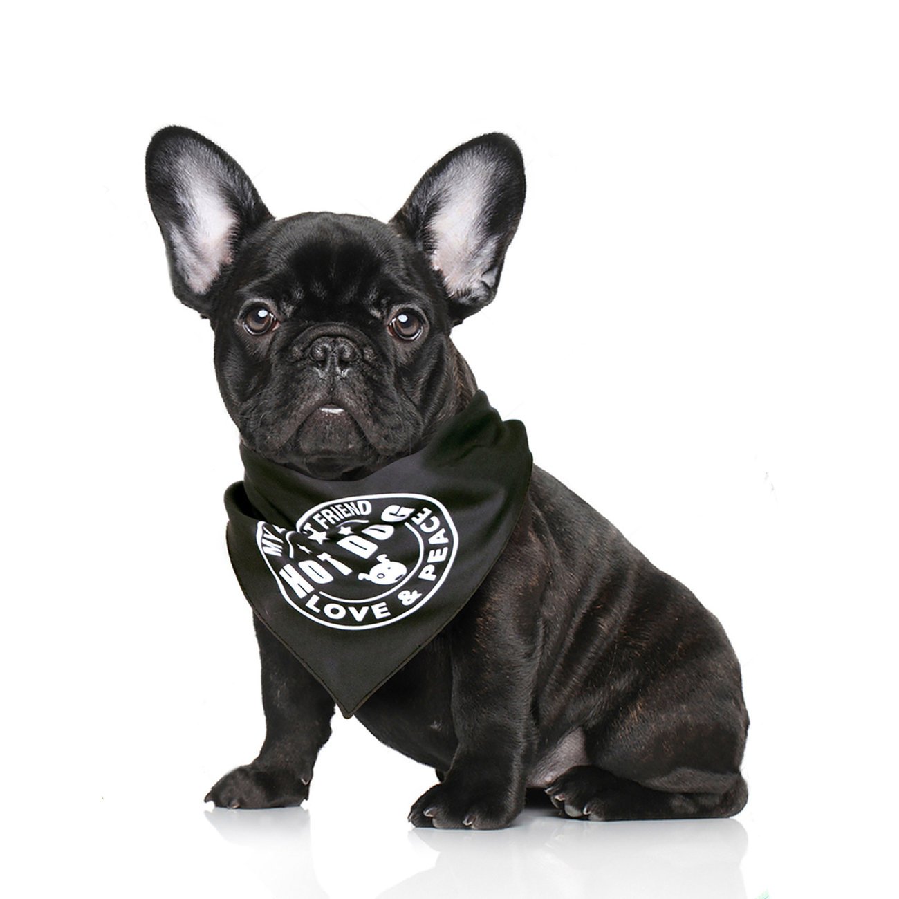 Bandana für Hunde Bild 3