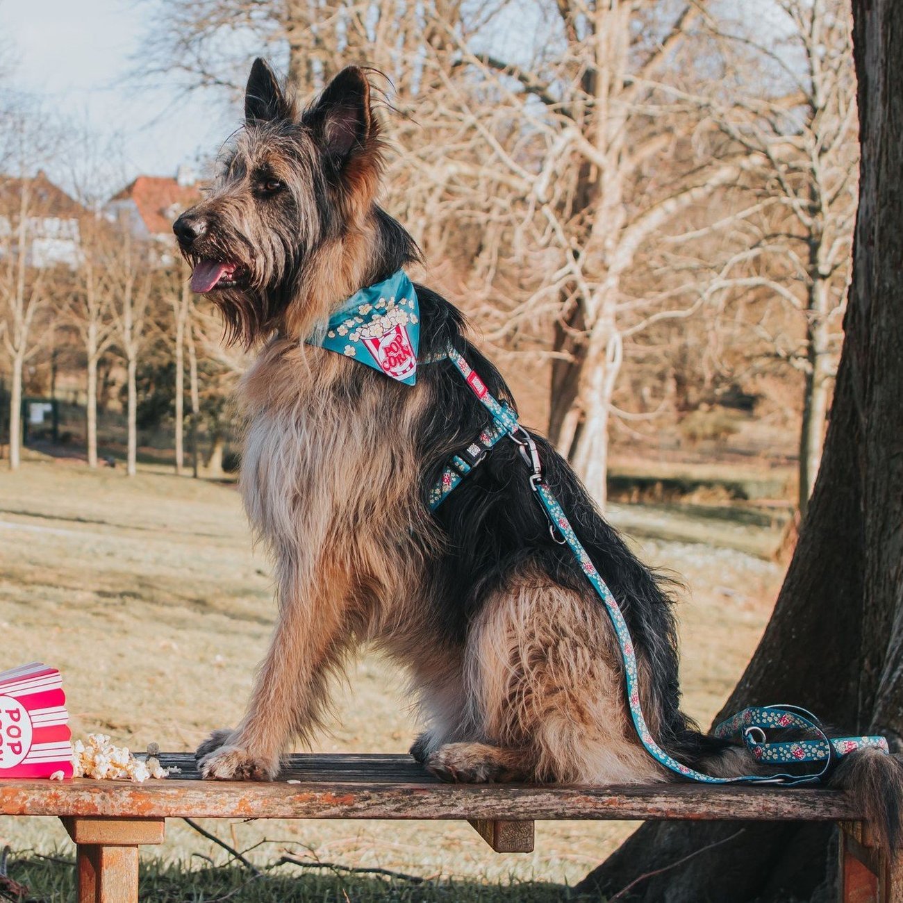 Bandana Popcorn Bild 5