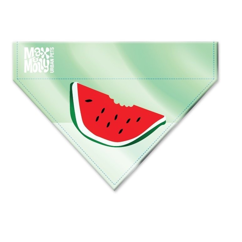 Bandana Watermelon Bild 2