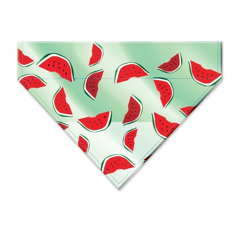 Bandana Watermelon Bild 3