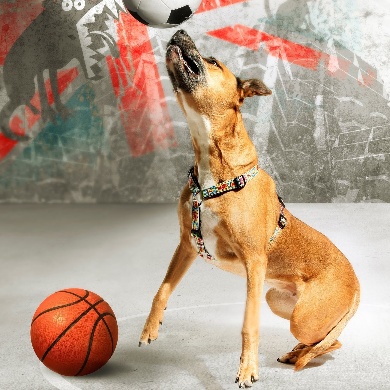 Max & Molly H-Geschirr Comic Bild 3