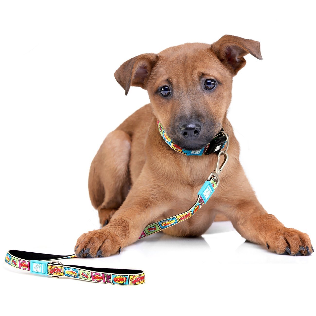 Max & Molly H-Geschirr Comic Bild 5