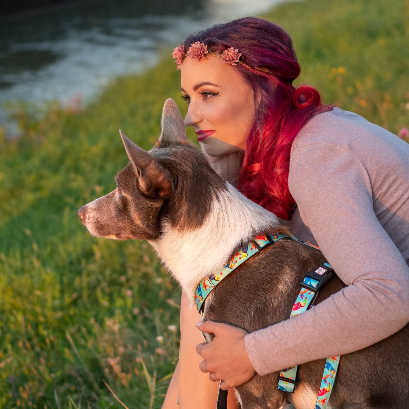 Max & Molly H-Geschirr Hunde Paradise Bild 3