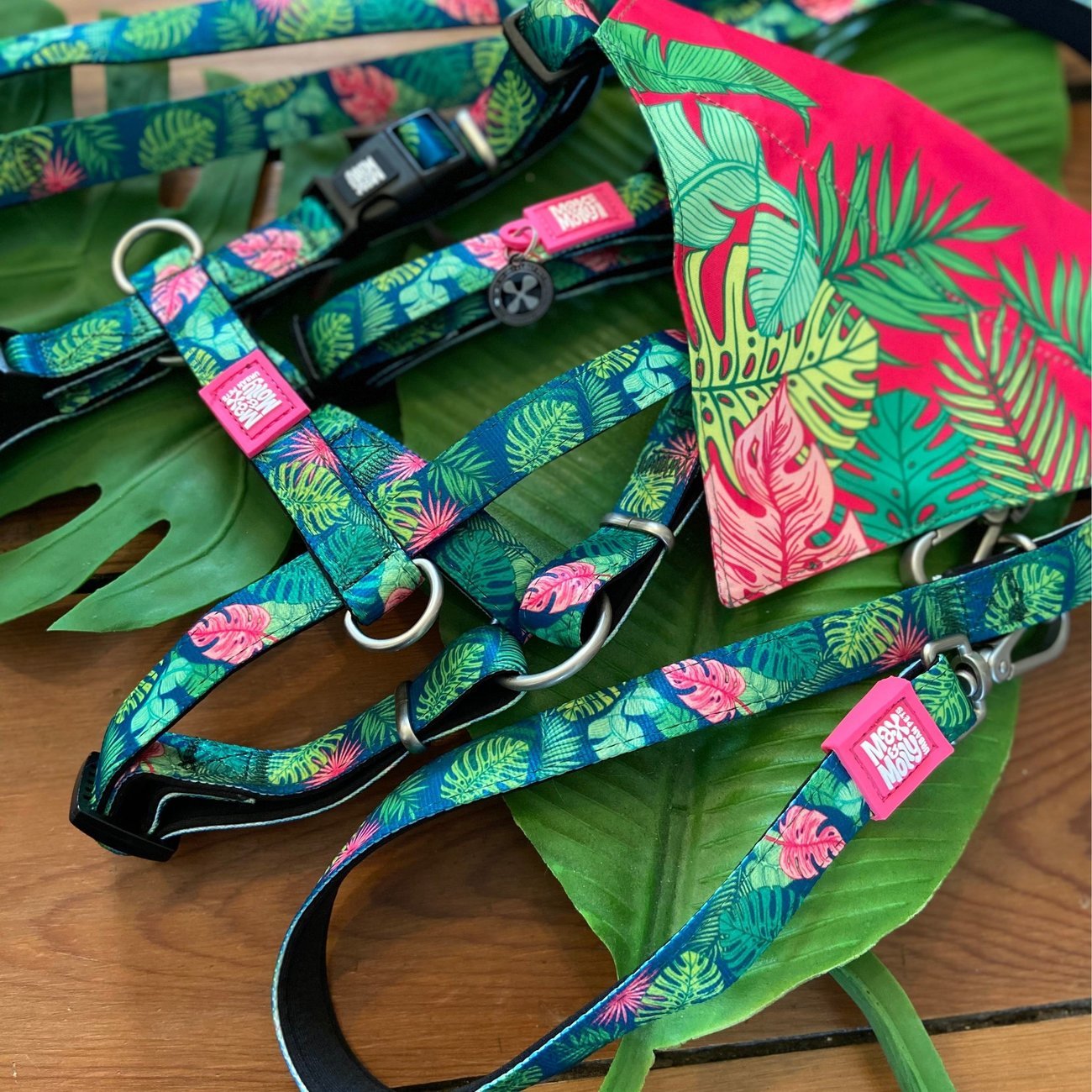 H-Geschirr Tropical Bild 2