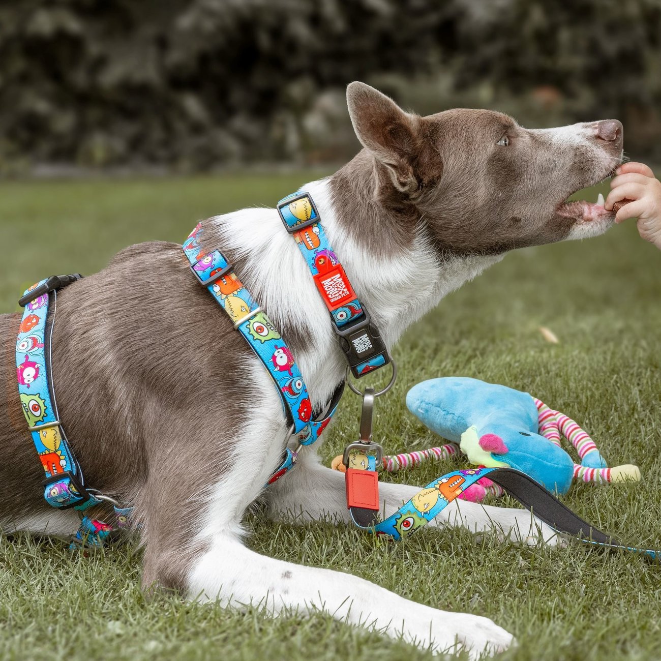 Max & Molly Hunde H-Geschirr Little Monsters Bild 3