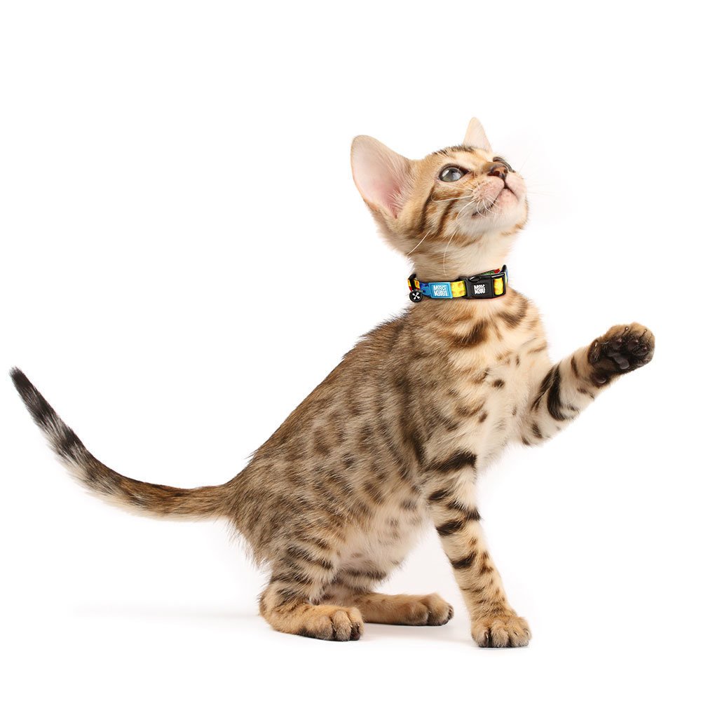 Katzenhalsband Smart ID Bild 3