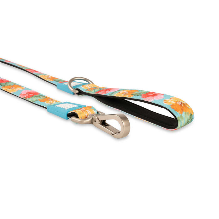 Kurzleine Exotique Bild 2