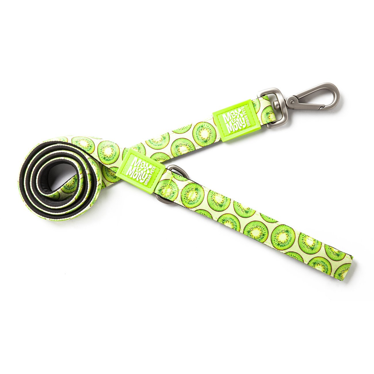 Kurzleine Kiwi Bild 1