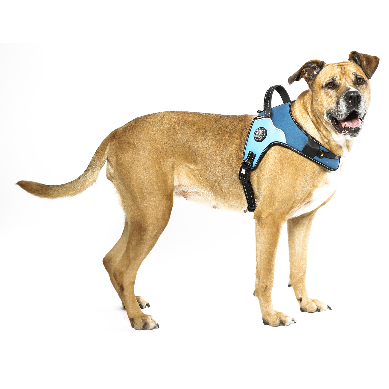 Max & Molly Matrix Power Geschirr für Hunde Bild 2