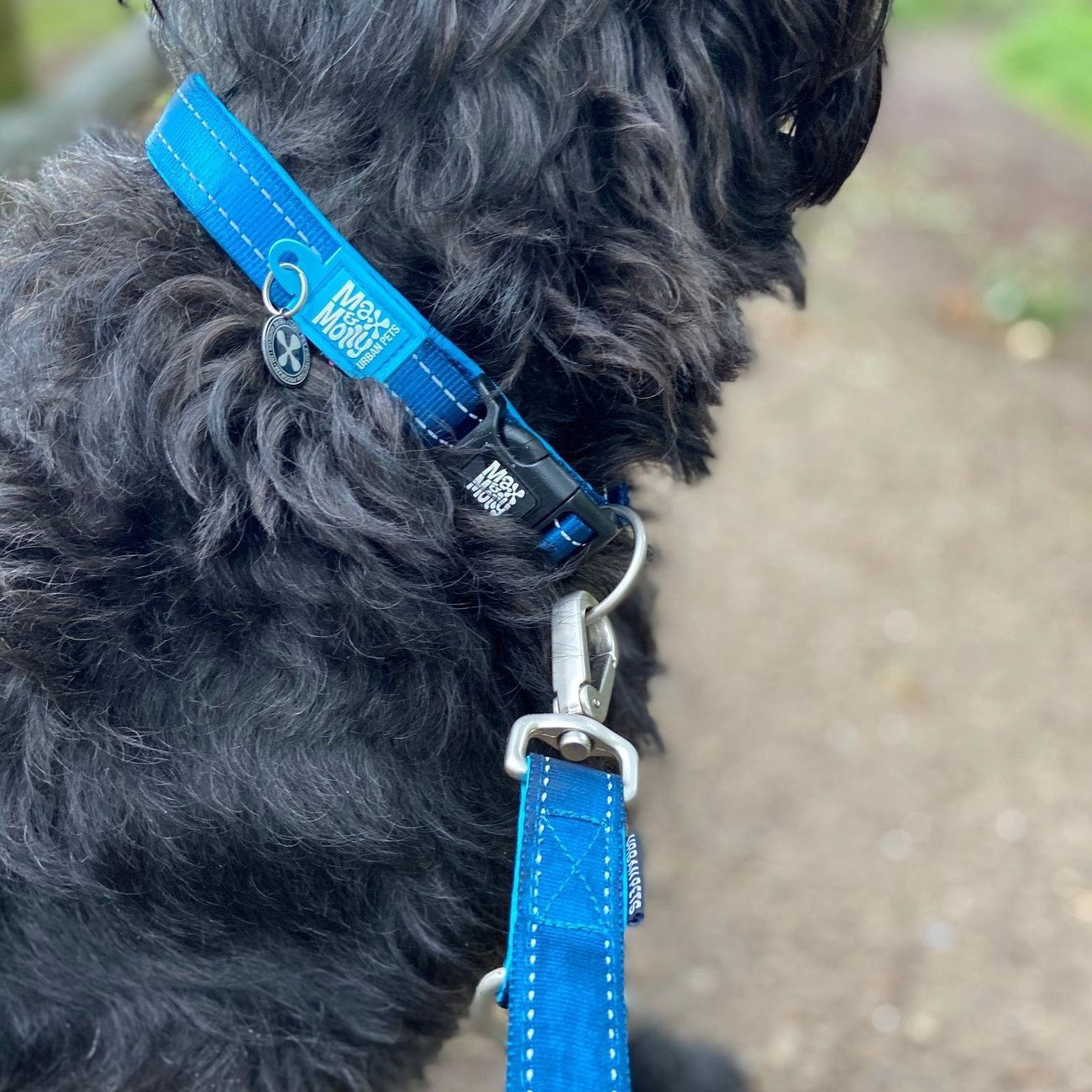 Max & Molly Matrix Smart ID Hundehalsband Bild 5