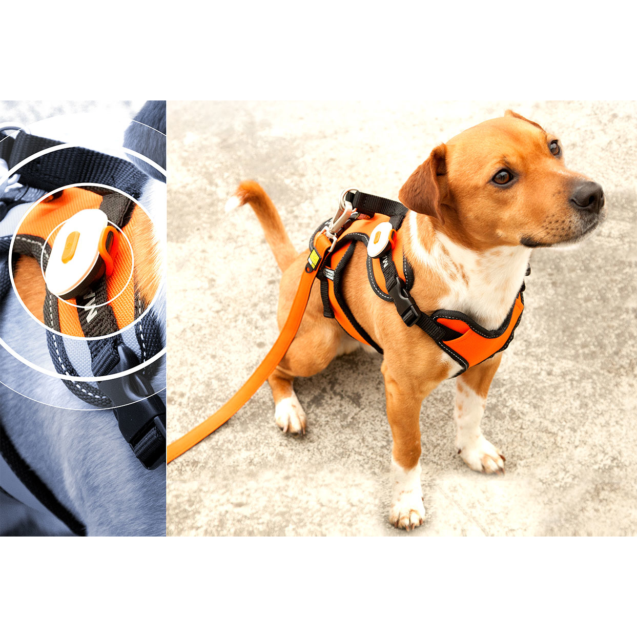 Max & Molly Matrix Ultra LED Licht Bild 7