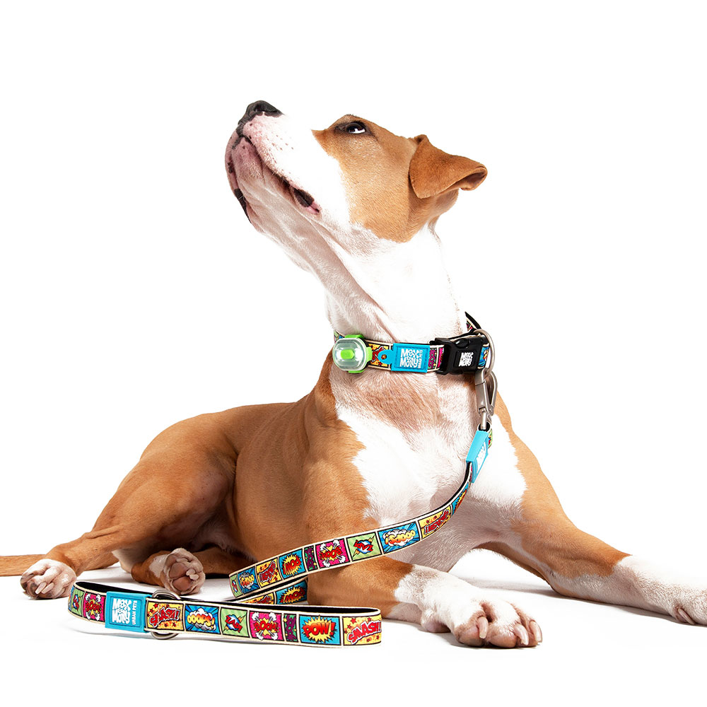 Max & Molly Matrix Ultra LED Licht Bild 4