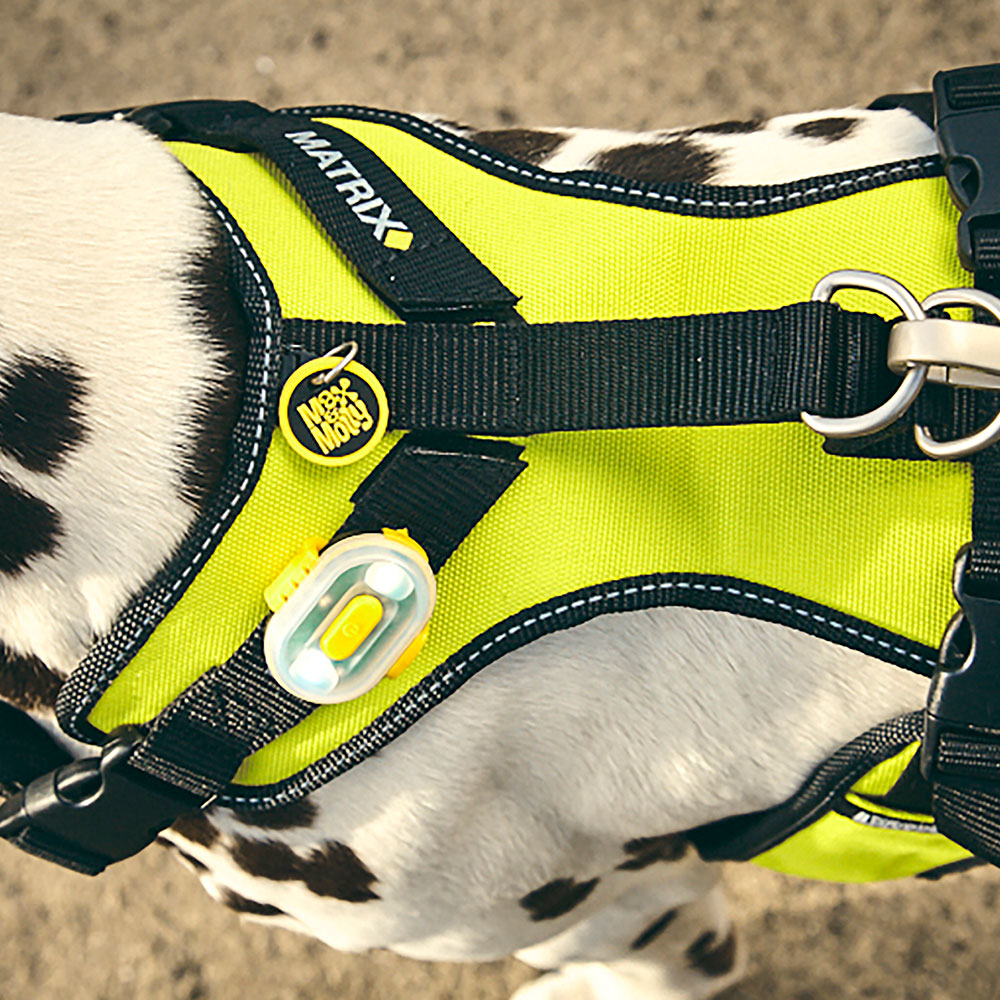 Max & Molly Matrix Ultra LED Licht Bild 8