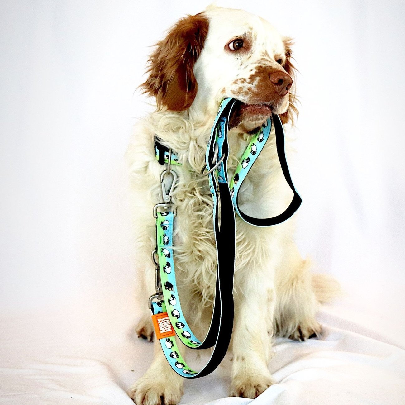 Multifunktionsleine Black Sheep Bild 2