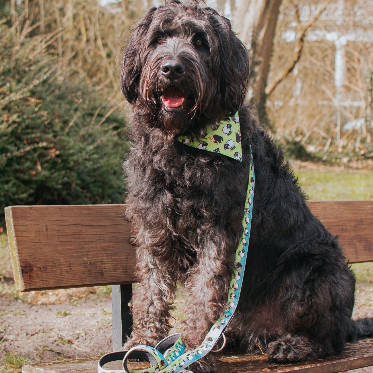 Multifunktionsleine Black Sheep Bild 5