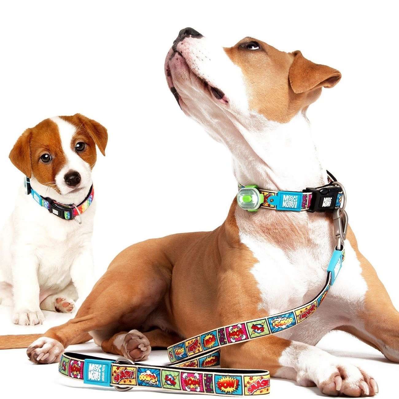 Max & Molly Multifunktionsleine Comic Bild 3