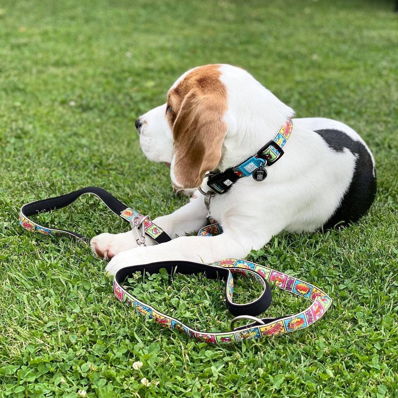 Max & Molly Multifunktionsleine Comic Bild 4