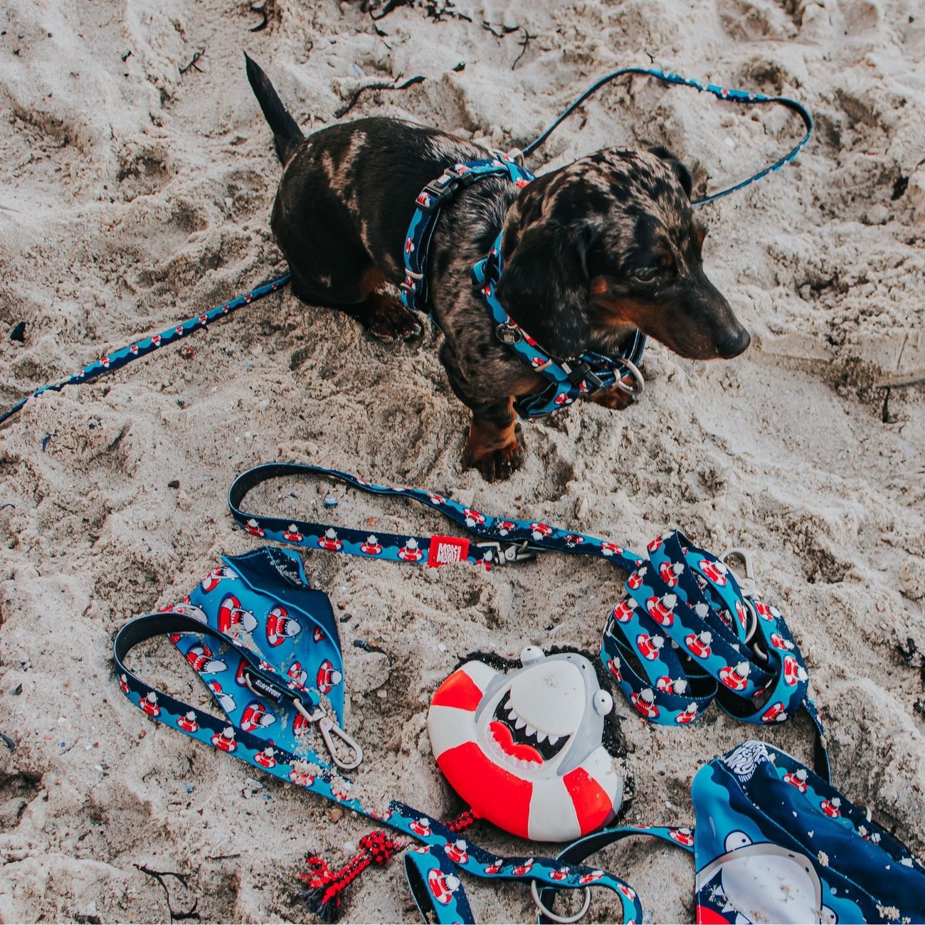 Multifunktionsleine Frenzy The Shark Bild 2