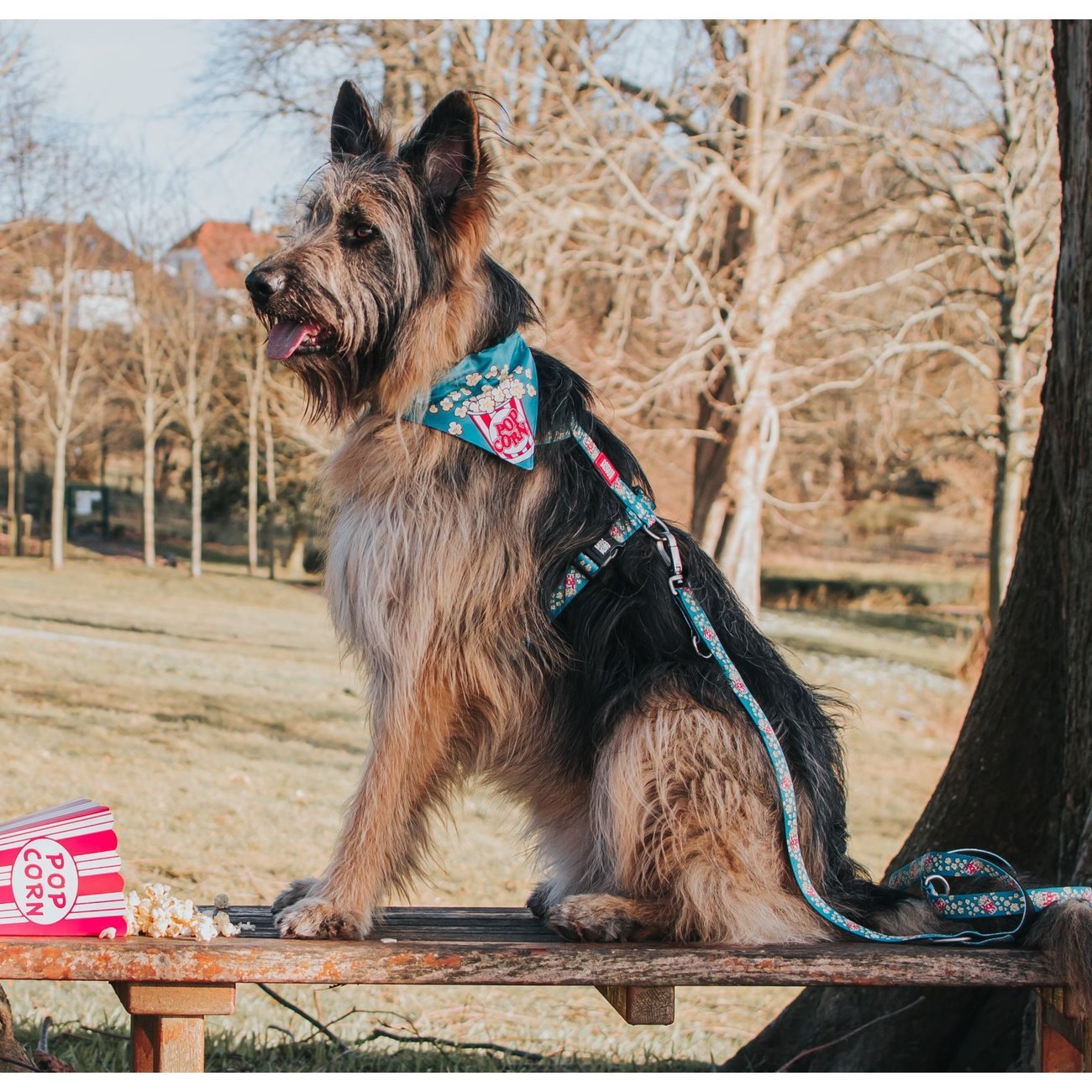 Multifunktionsleine Popcorn Bild 2