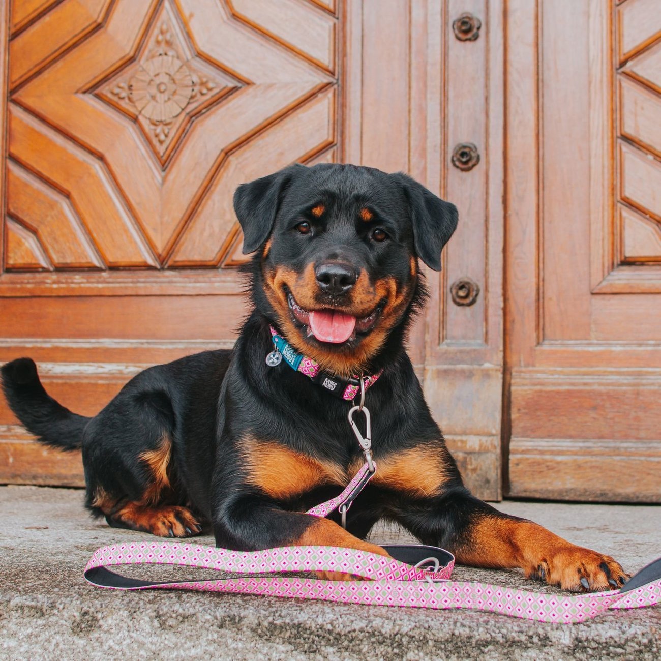 Multifunktionsleine Retro Pink Bild 2