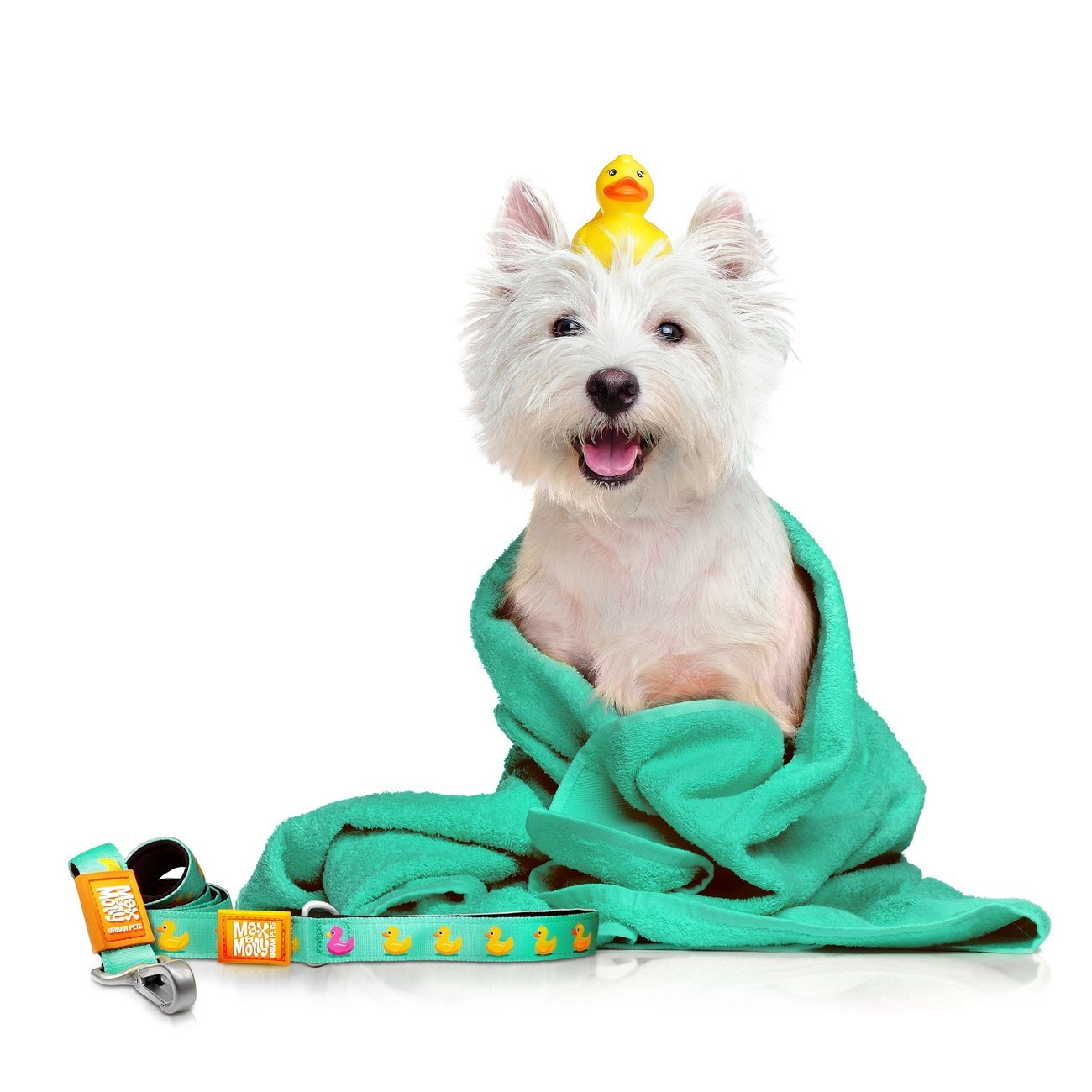 Max & Molly Original Kurzleine Ducklings Bild 5