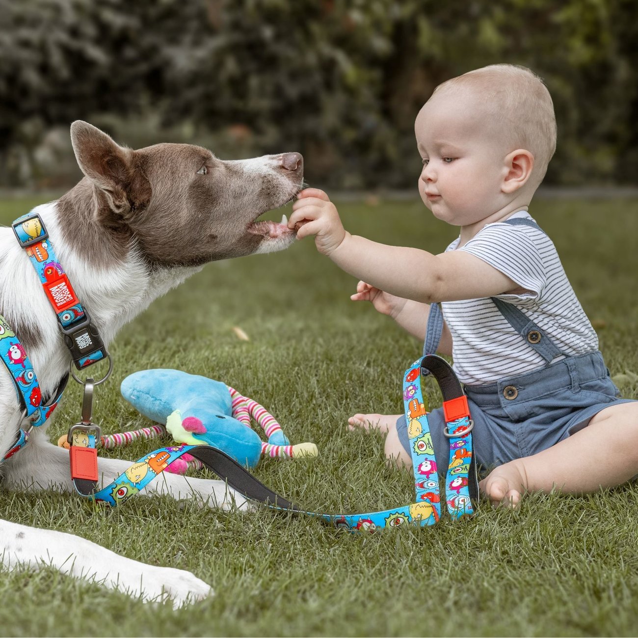 Max & Molly Original Kurzleine Little Monsters Bild 5