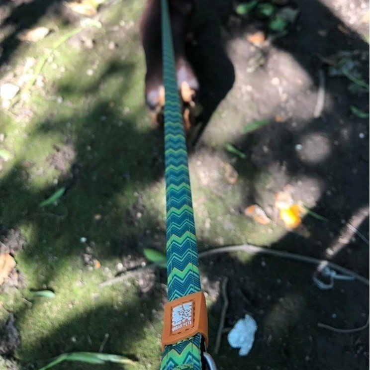 Max & Molly Original Kurzleine Vintage Bild 4