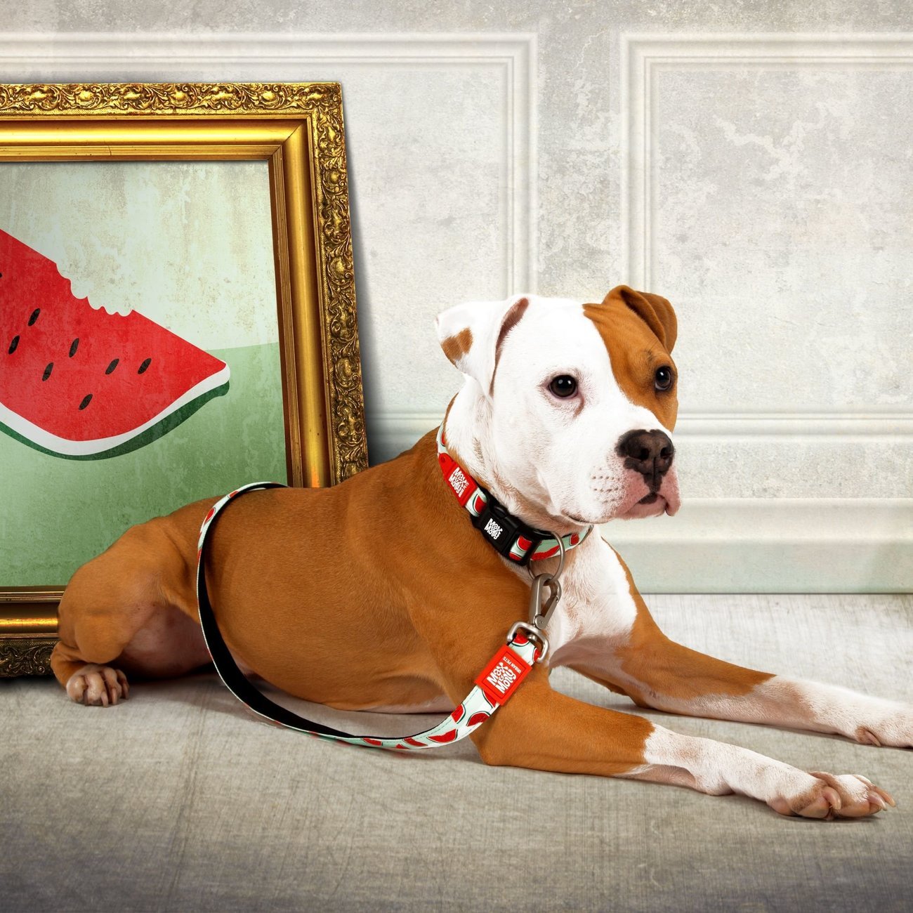 Max & Molly Original Kurzleine Watermelon Bild 2